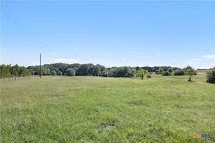 1310 N Nassau Rd, Round Top, TX 78954 - Photo 10