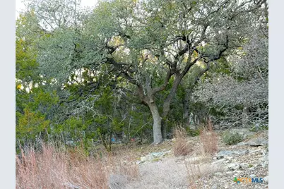 209 Legacy Ridge, Canyon Lake, TX 78133 - Photo 10