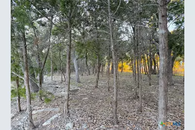 209 Legacy Ridge, Canyon Lake, TX 78133 - Photo 2