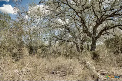 11341 Fm 340, Moulton, TX 77975 - Photo 18