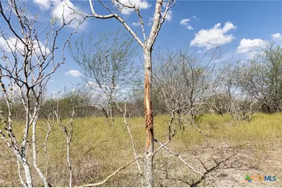 11341 Fm 340, Moulton, TX 77975 - Photo 10