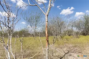 11341 FM340, Moulton, TX 77975 - Photo 10