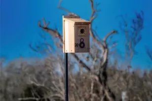 1709 FM318, Yoakum, TX 77995 - Photo 8