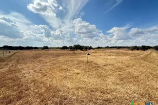 1709 FM318, Yoakum, TX 77995 - Photo 14