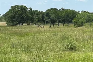 1709 FM318, Yoakum, TX 77995 - Photo 12