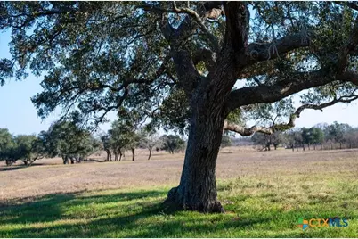 1709 Fm 318, Yoakum, TX 77995 - Photo 2