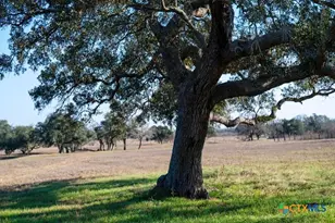 1709 FM318, Yoakum, TX 77995 - Photo 2