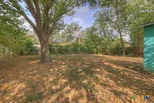 807 Sturgeon St, San Marcos, TX 78666 - Photo 22