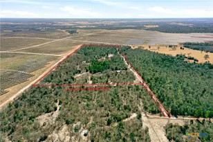 1310 Perry Ln, Thorndale, TX 76577 - Photo 6