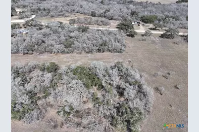 Tbd Lassman Road, Goliad, TX 77963 - Photo 6