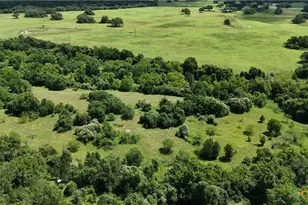 750 Lassman Rd, Goliad, TX 77963 - Photo 10
