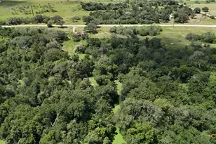 750 Lassman Rd, Goliad, TX 77963 - Photo 24