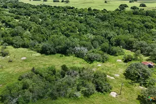 750 Lassman Rd, Goliad, TX 77963 - Photo 4