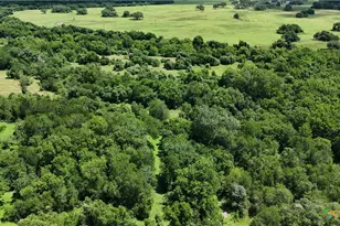 750 Lassman Rd, Goliad, TX 77963 - Photo 6