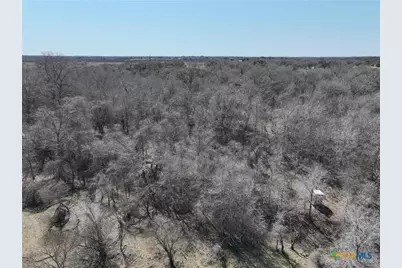 Tbd Lassman Road, Goliad, TX 77963 - Photo 14
