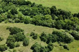 750 Lassman Rd, Goliad, TX 77963 - Photo 12
