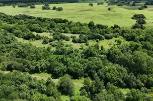 750 Lassman Rd, Goliad, TX 77963 - Photo 8