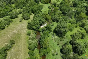750 Lassman Rd, Goliad, TX 77963 - Photo 14