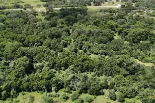 750 Lassman Rd, Goliad, TX 77963 - Photo 22