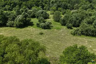 750 Lassman Rd, Goliad, TX 77963 - Photo 16