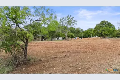 338 E Stonecastle Drive, Granite Shoals, TX 78654 - Photo 8