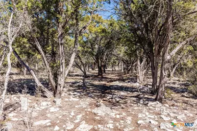 118 Buffalo Springs Road, New Braunfels, TX 78132 - Photo 36