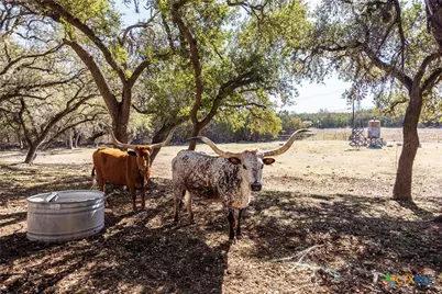 118 Buffalo Springs Road, New Braunfels, TX 78132 - Photo 6