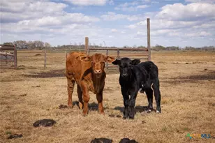 9439 Jeske Rd, Needville, TX 77461 - Photo 46