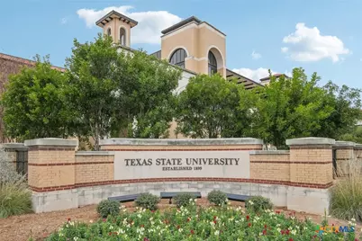 1149 SE Wild Leaf Way, San Marcos, TX 78666 - Photo 20