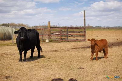 9439 Jeske Rd, Needville, TX 77461 - Photo 44