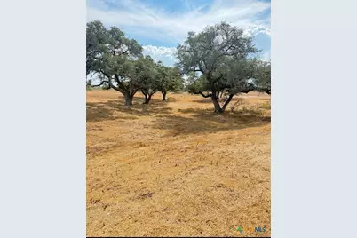 1709 Fm 318, Yoakum, TX 77995 - Photo 2