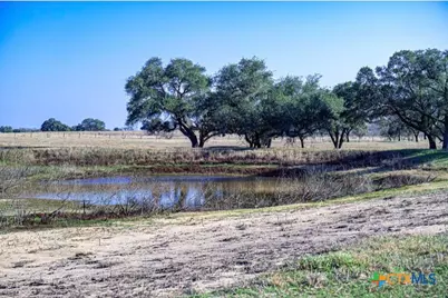 1709 Fm 318, Yoakum, TX 77995 - Photo 6