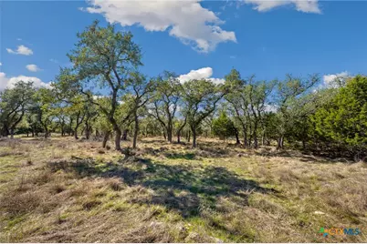 913 Cross Oak, New Braunfels, TX 78132 - Photo 8
