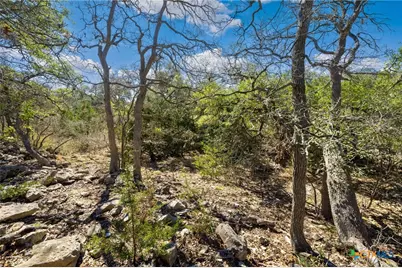 913 Cross Oak, New Braunfels, TX 78132 - Photo 4