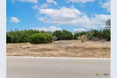 220 Lantana Bud Trail, Liberty Hill, TX 78642 - Photo 6