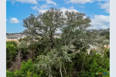 220 Lantana Bud Trail, Liberty Hill, TX 78642 - Photo 8