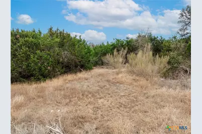 220 Lantana Bud Trail, Liberty Hill, TX 78642 - Photo 6