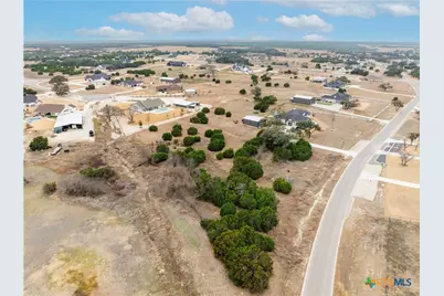 220 Lantana Bud Trail, Liberty Hill, TX 78642 - Photo 14