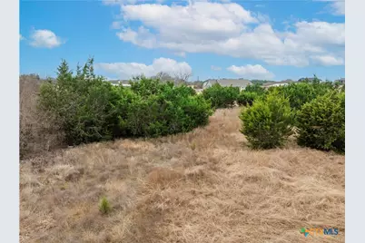 220 Lantana Bud Trail, Liberty Hill, TX 78642 - Photo 10