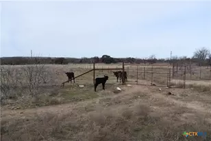 3619 N Fm 1702, Hamilton, TX 76531 - Photo 12