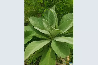 1217 Craig Street, Copperas Cove, TX 76522 - Photo 36