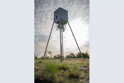 Tbd Bell Springs Road, Dripping Springs, TX 78620 - Photo 14