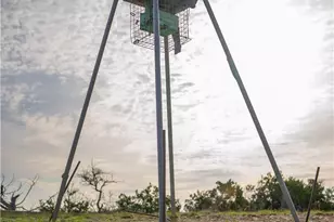 Tbd Bell Springs Rd, Dripping Springs, TX 78620 - Photo 14