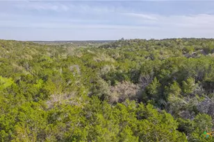 Tbd Bell Springs Rd, Dripping Springs, TX 78620 - Photo 10