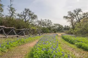 Tbd Bell Springs Rd, Dripping Springs, TX 78620 - Photo 18