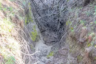 Tbd Bell Springs Rd, Dripping Springs, TX 78620 - Photo 40