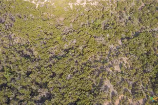 Tbd Bell Springs Rd, Dripping Springs, TX 78620 - Photo 34