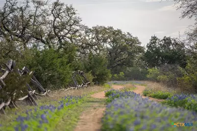 Tbd Bell Springs Road, Dripping Springs, TX 78620 - Photo 6