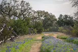 Tbd Bell Springs Rd, Dripping Springs, TX 78620 - Photo 6