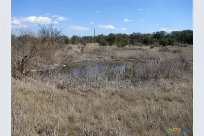 Tbd Fm 2842, Hamilton, TX 76531 - Photo 12